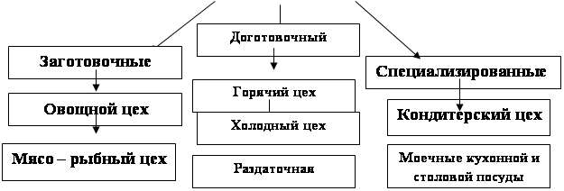 К заготовочным цехам относятся. Цеховая структура предприятия общественного питания. Схема структура цехов предприятия кафе. Цеховая структура производства ресторана. Производственная структура кафе.