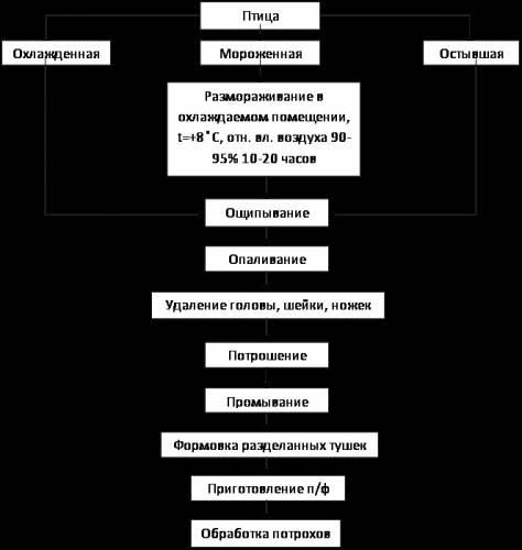 Технологическая карта птицы по столичному