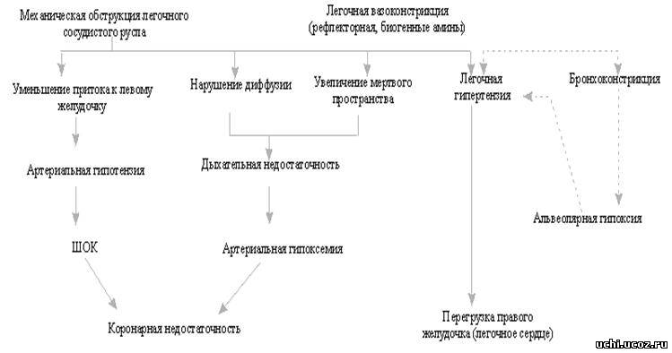 Тромбоэмболия кошек схема лечения