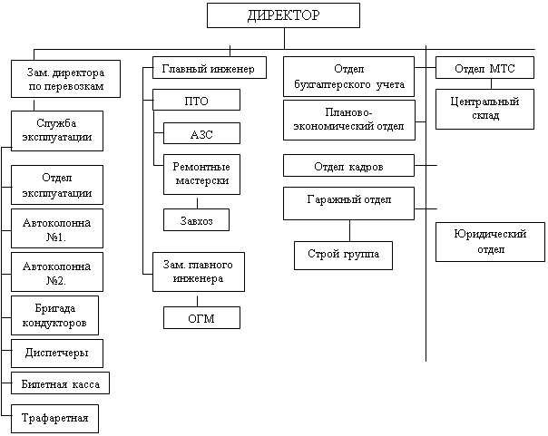 Схема организационной структуры пятерочки