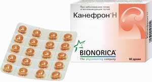 Канефрон применение при беременности. Канефрон по латыни. Капли от цистита канефрон для детей. Канефрон для беременных в таблетках. Препарат при цистите канефрон.